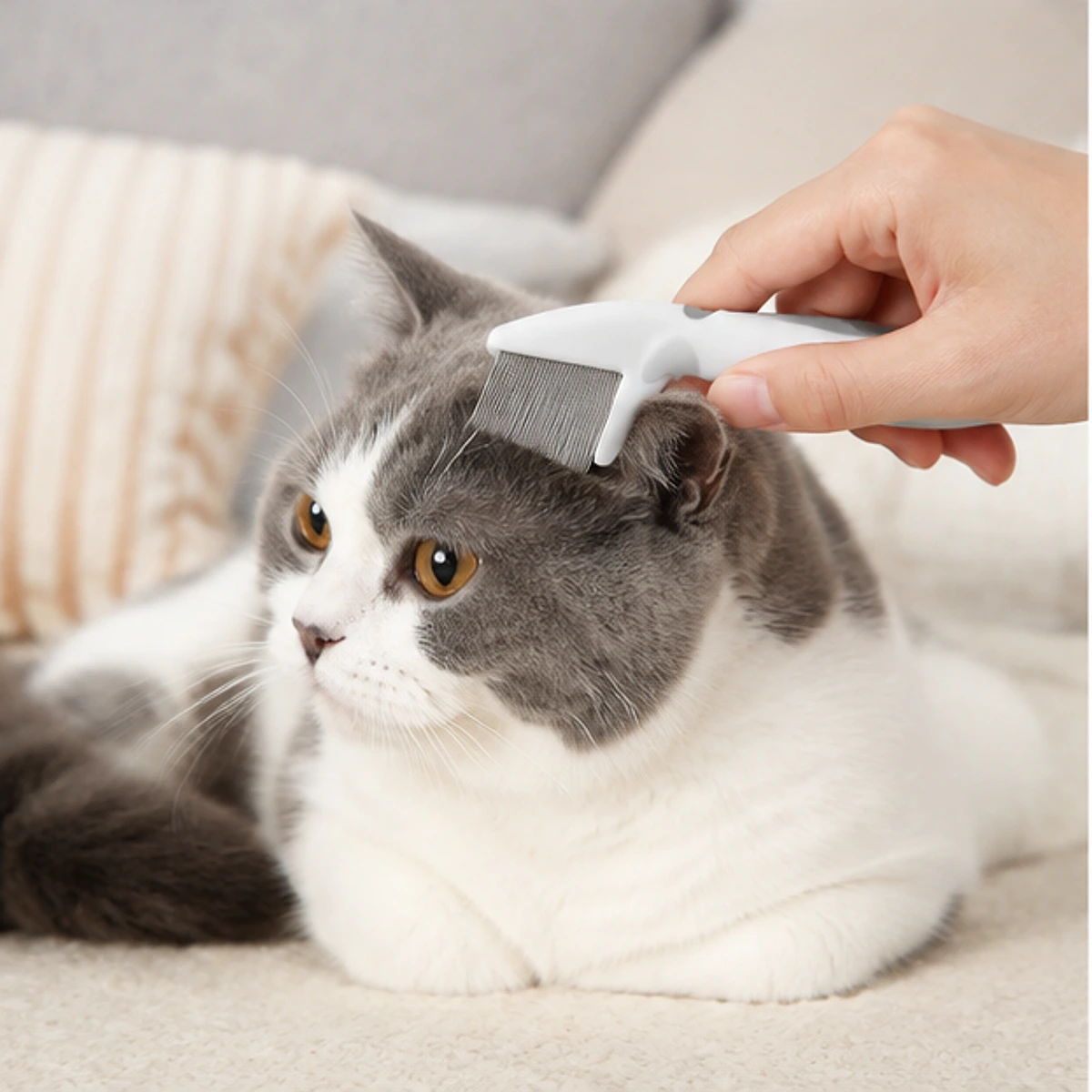Fine-Tooth Flea Comb Set usage