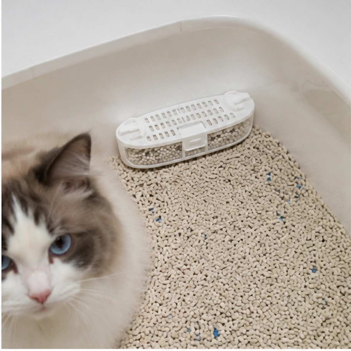 Model-Specific Feeder Desiccant Pack usage