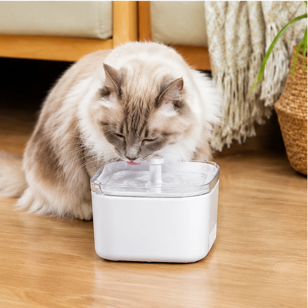 Wireless Fountain Pump Module usage