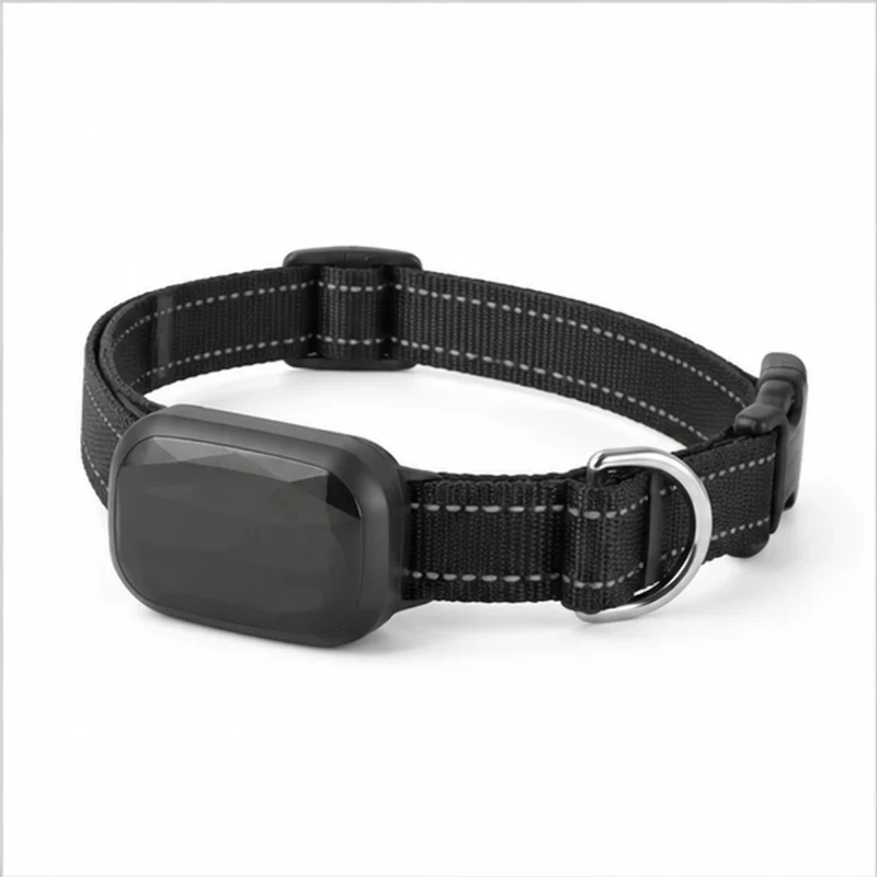 GPS Dog Tracker main