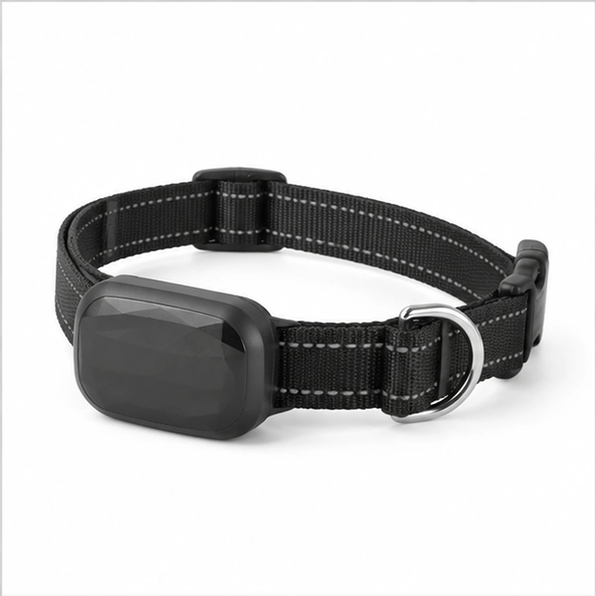 GPS Dog Tracker main