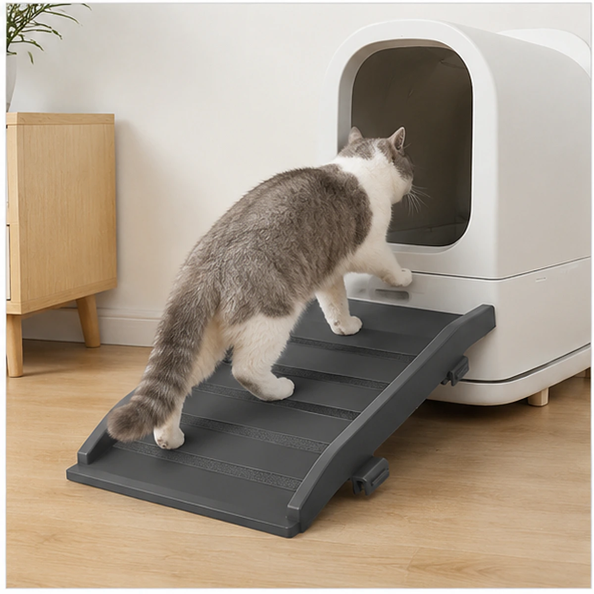 Smart Litter Box Entry Ramp usage