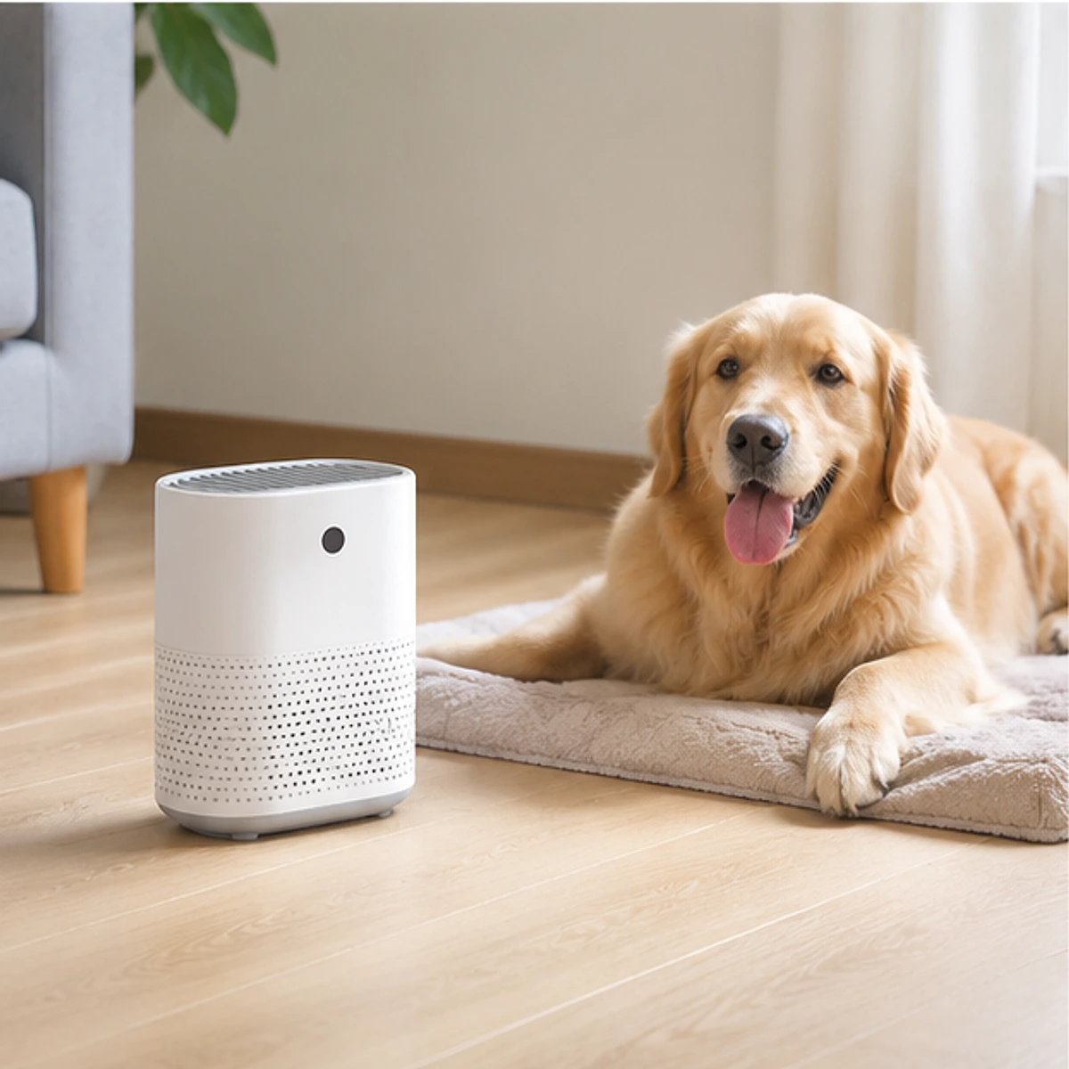Pet Room Air Quality Monitor usage