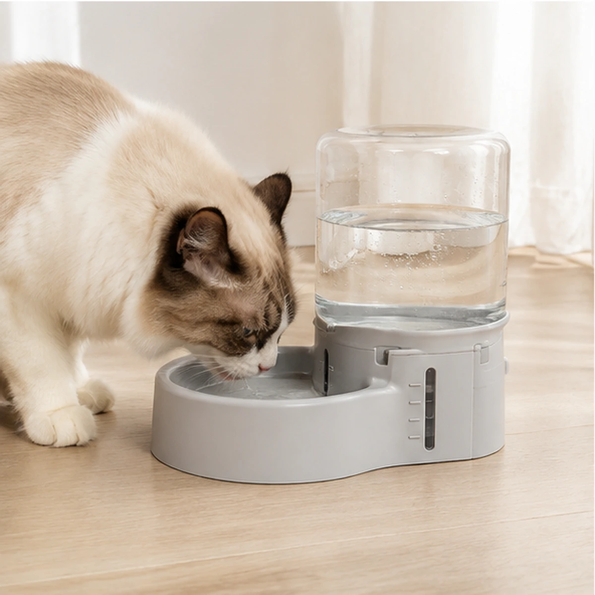 Local Water Intake Scale Base usage