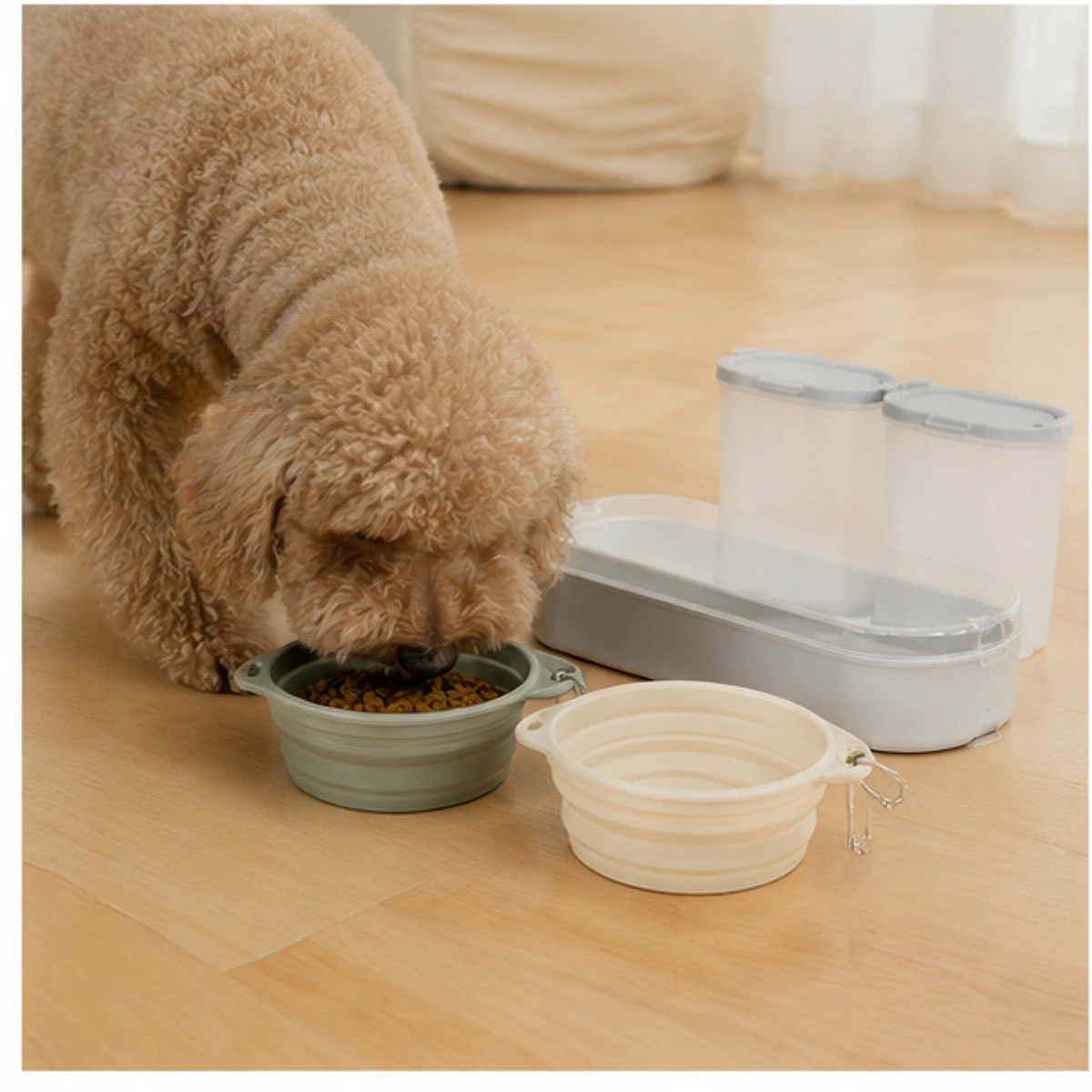 Travel Pet Feeding Set usage