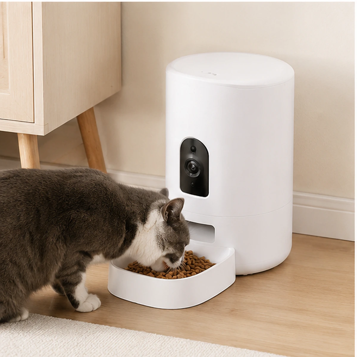 Wi-Fi Pet Feeder Camera usage