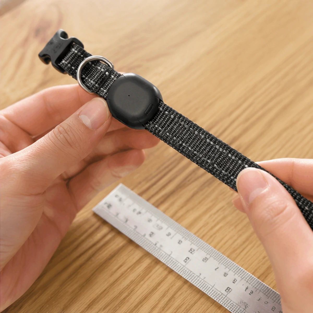 Pet Activity Tracker Collar care
