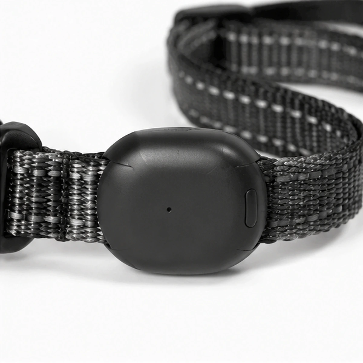 Pet Activity Tracker Collar detail