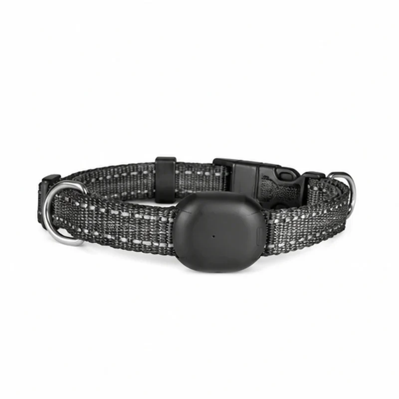 Pet Activity Tracker Collar main