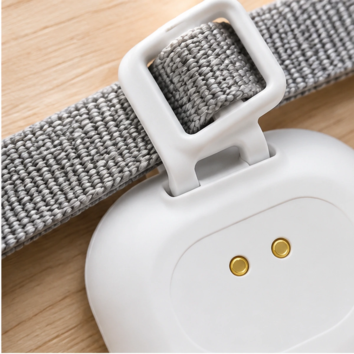 Temperature Monitor for Pets detail