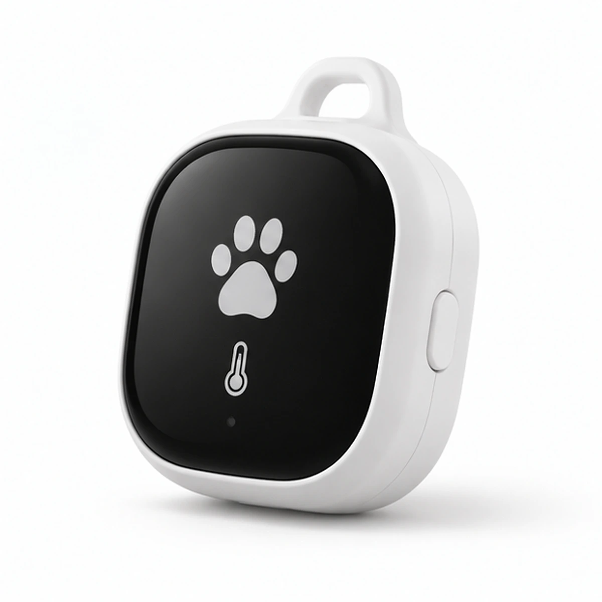 Temperature Monitor for Pets main