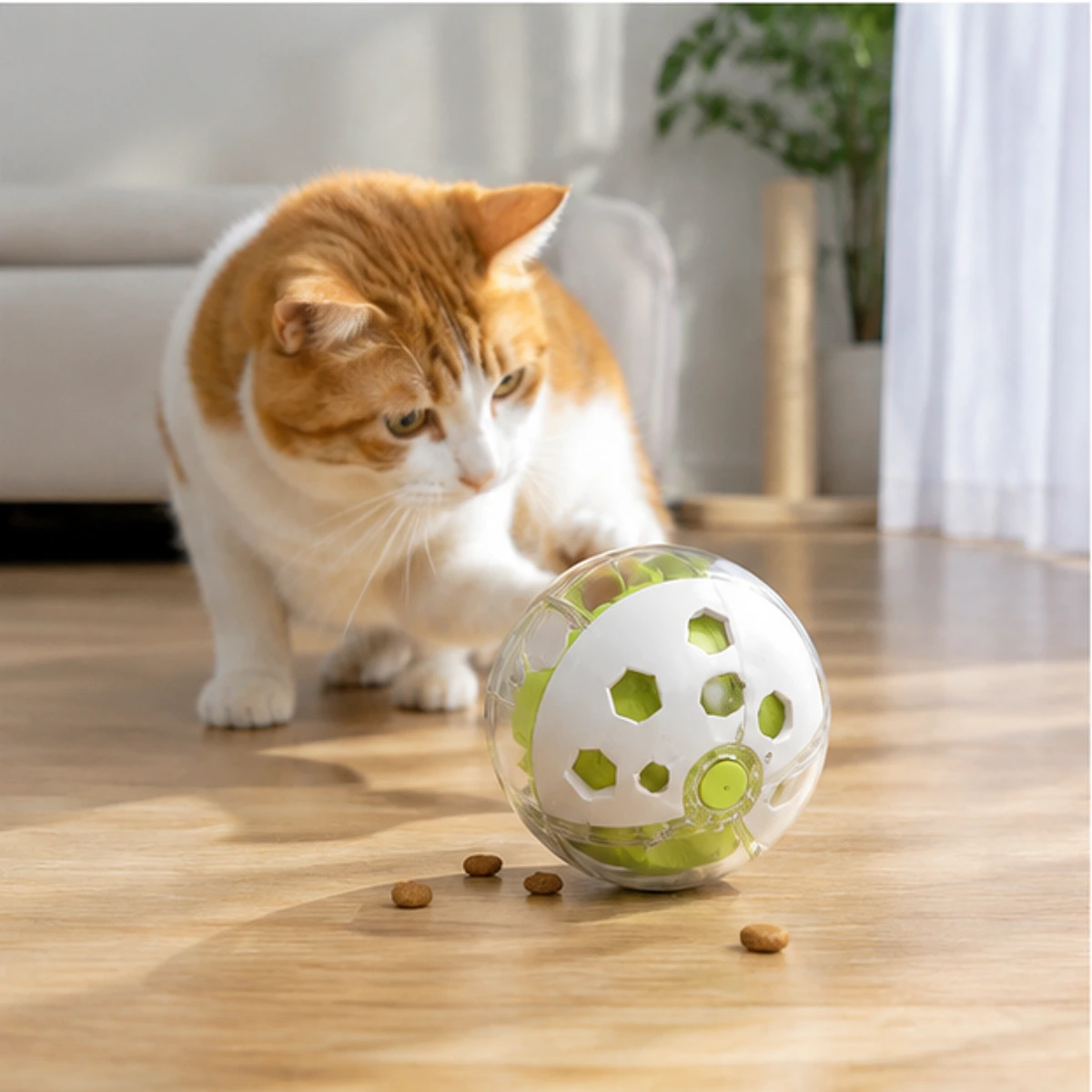Timed Cat Toy usage