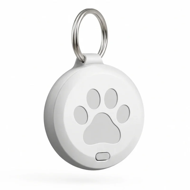 Pet Routine Reminder Tag main
